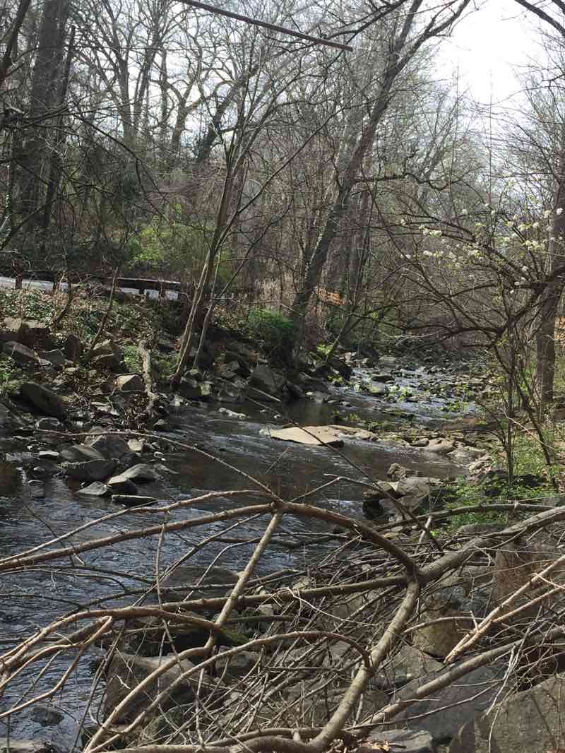 walking near me in Sligo Creek North Neighborhood Park in winter