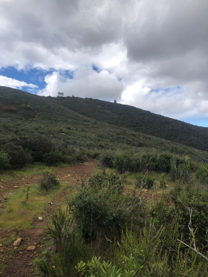 walking near me in Double Peak Park in winter