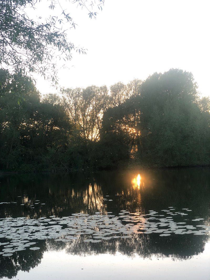 walking near me in Bolton Brickyard Ponds in winter