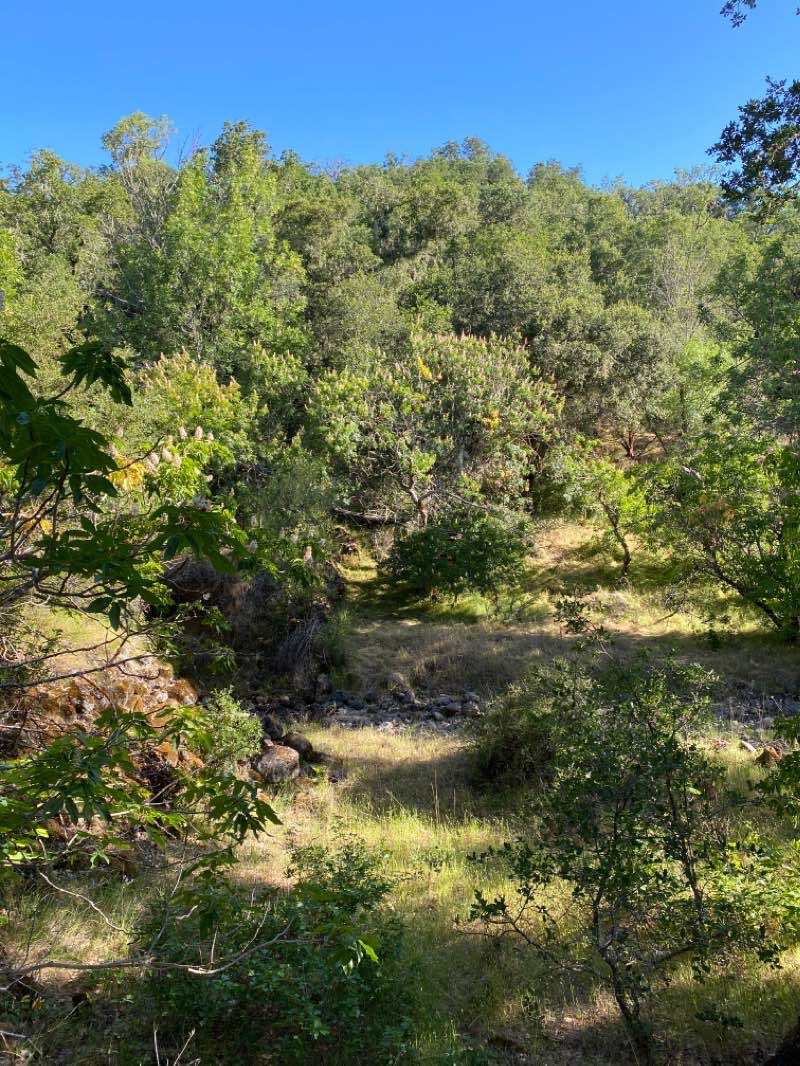 walking near me in Bothe-Napa Valley State Park in winter