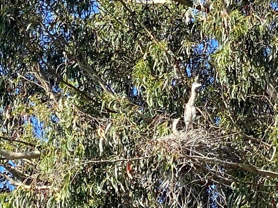 walking near me in Marina Green in winter