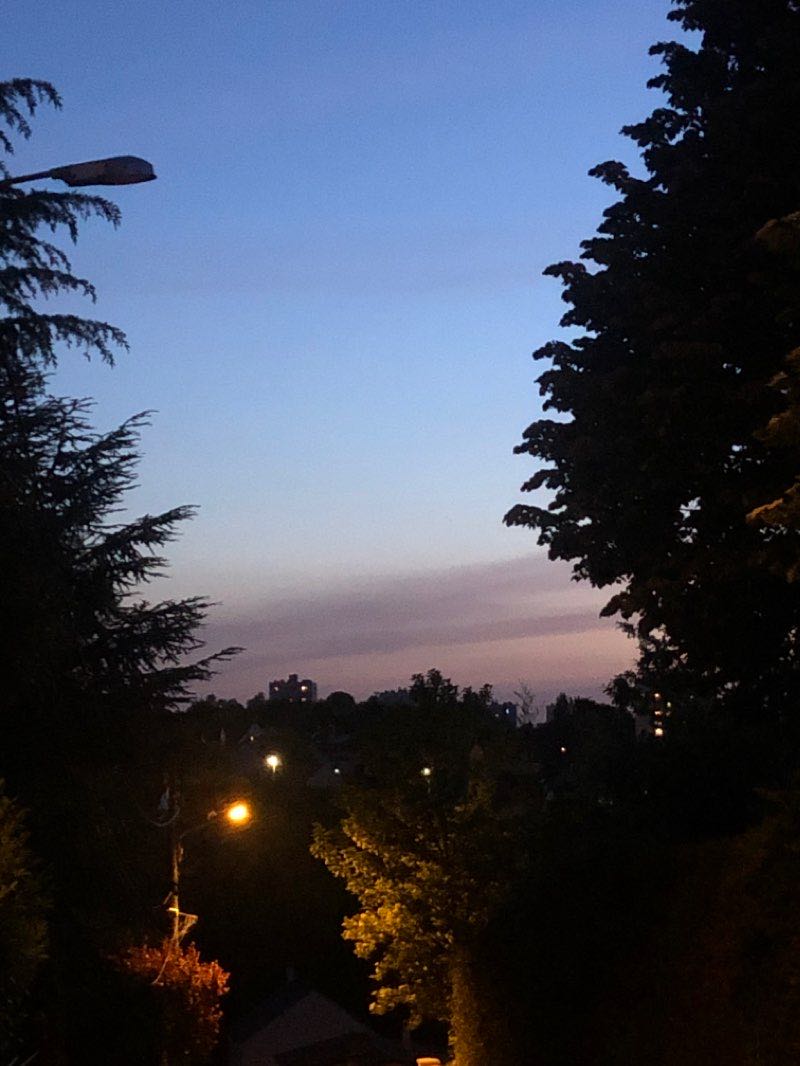 walking near me in Parc de la Garennière in winter