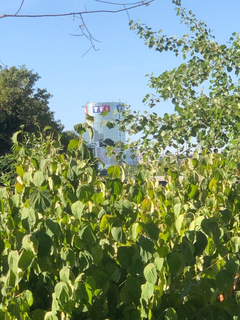 walking near me in Parc des Montalets in winter