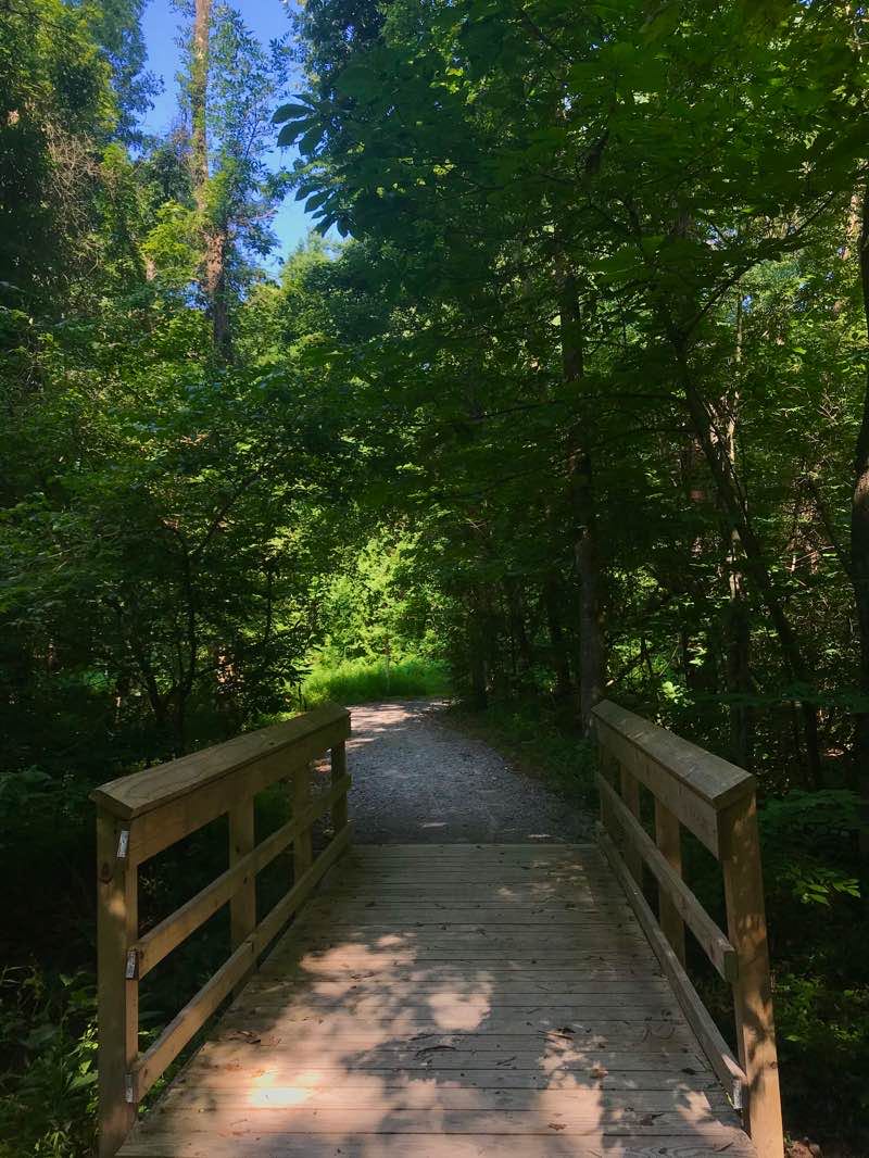 walking near me in Carbondale Park District Soccer Fields in winter