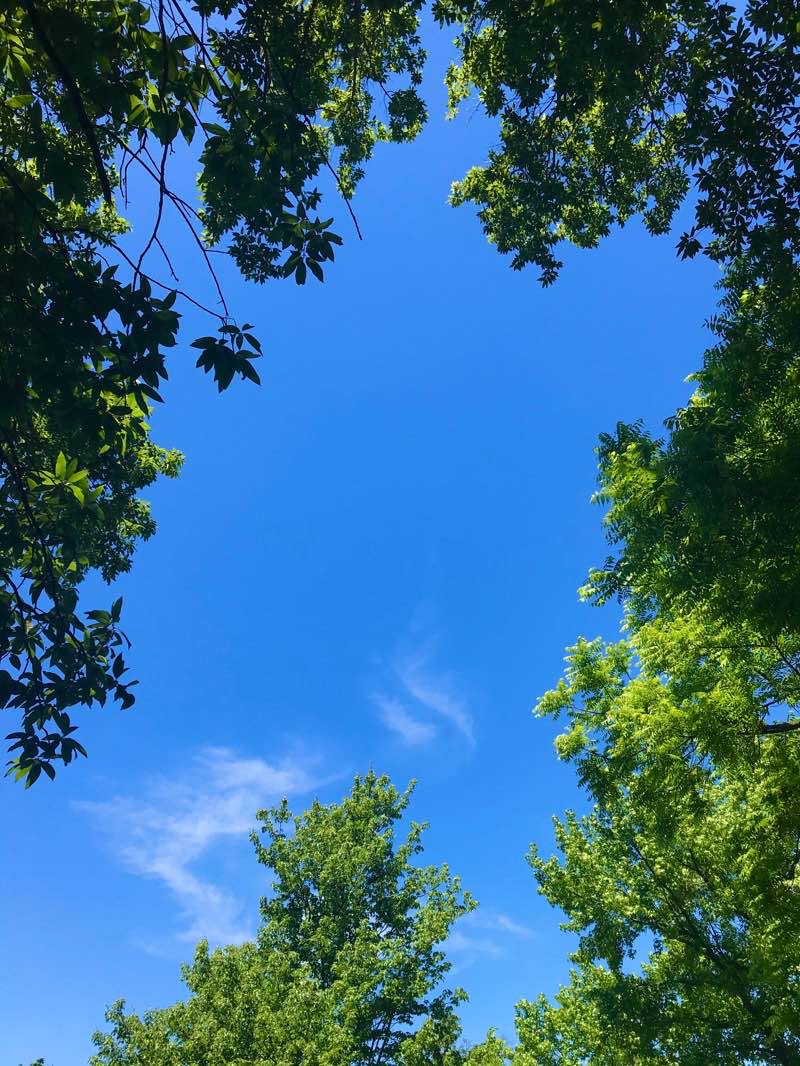 walking near me in Campus Lake Park in winter