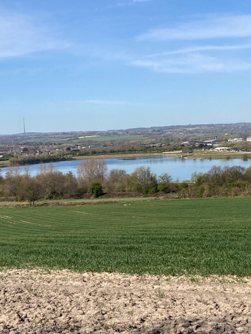 walking near me in Newmillerdam in winter