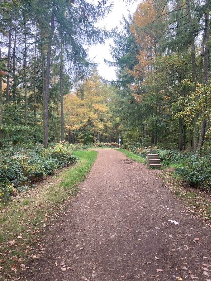walking near me in Walton Nature Reserve in winter