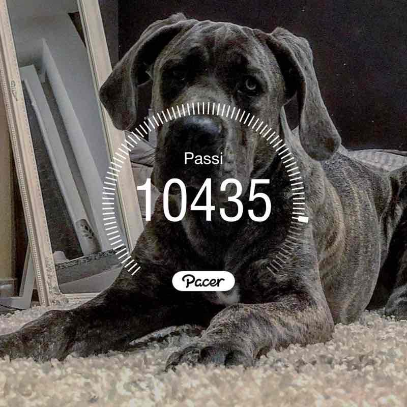 ivan de regibus post 1