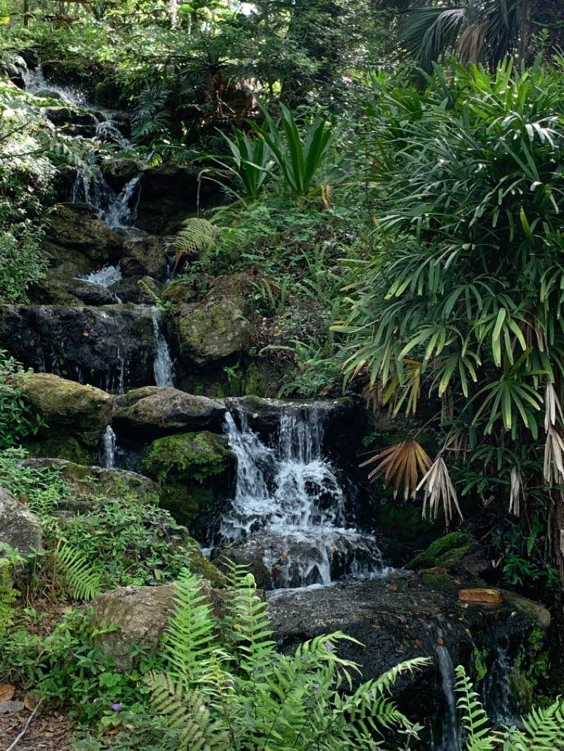 walking near me in Rainbow Springs State Park in winter