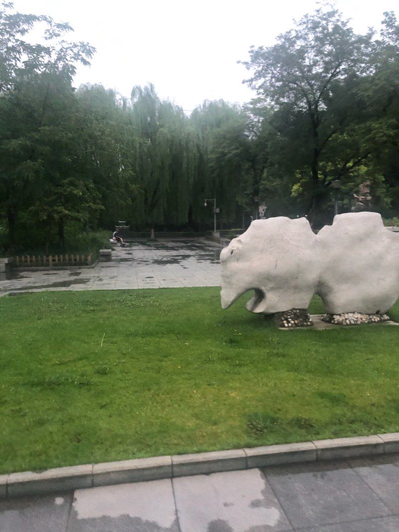 walking near me in 龙潭公园 in winter