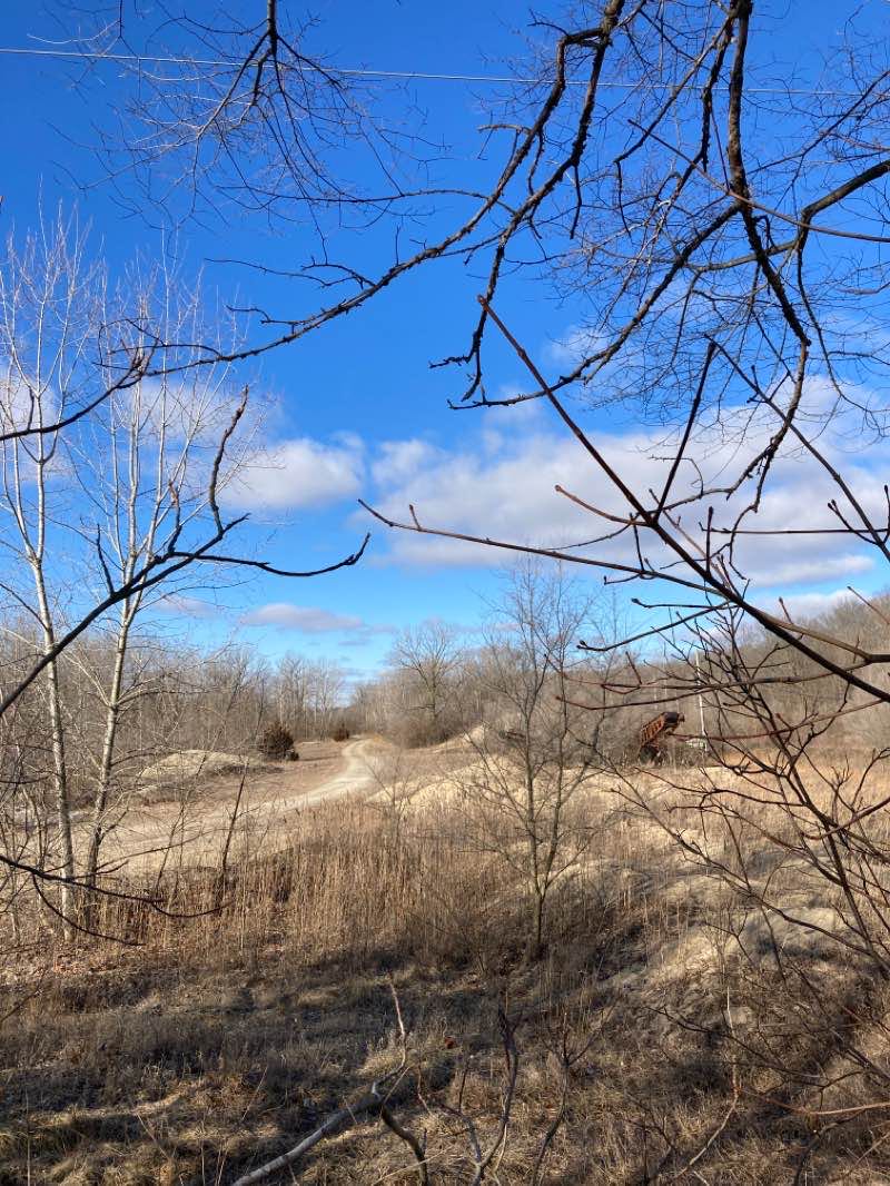 walking near me in West City Park in winter