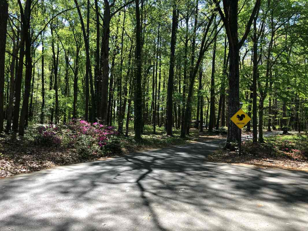 walking near me in Fountain Plaza in winter