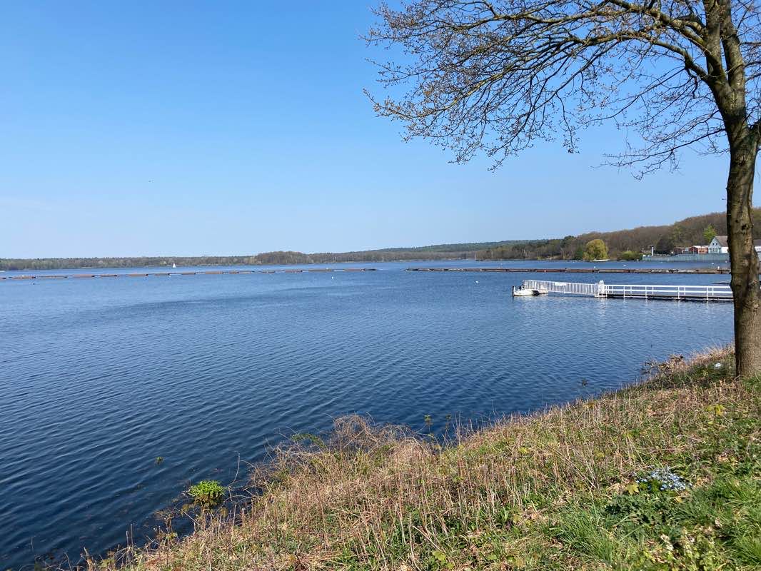 walking near me in Erlbruchpark in winter
