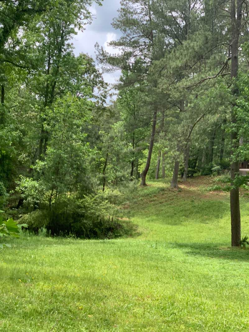 walking near me in Concord Road Trail Head in winter