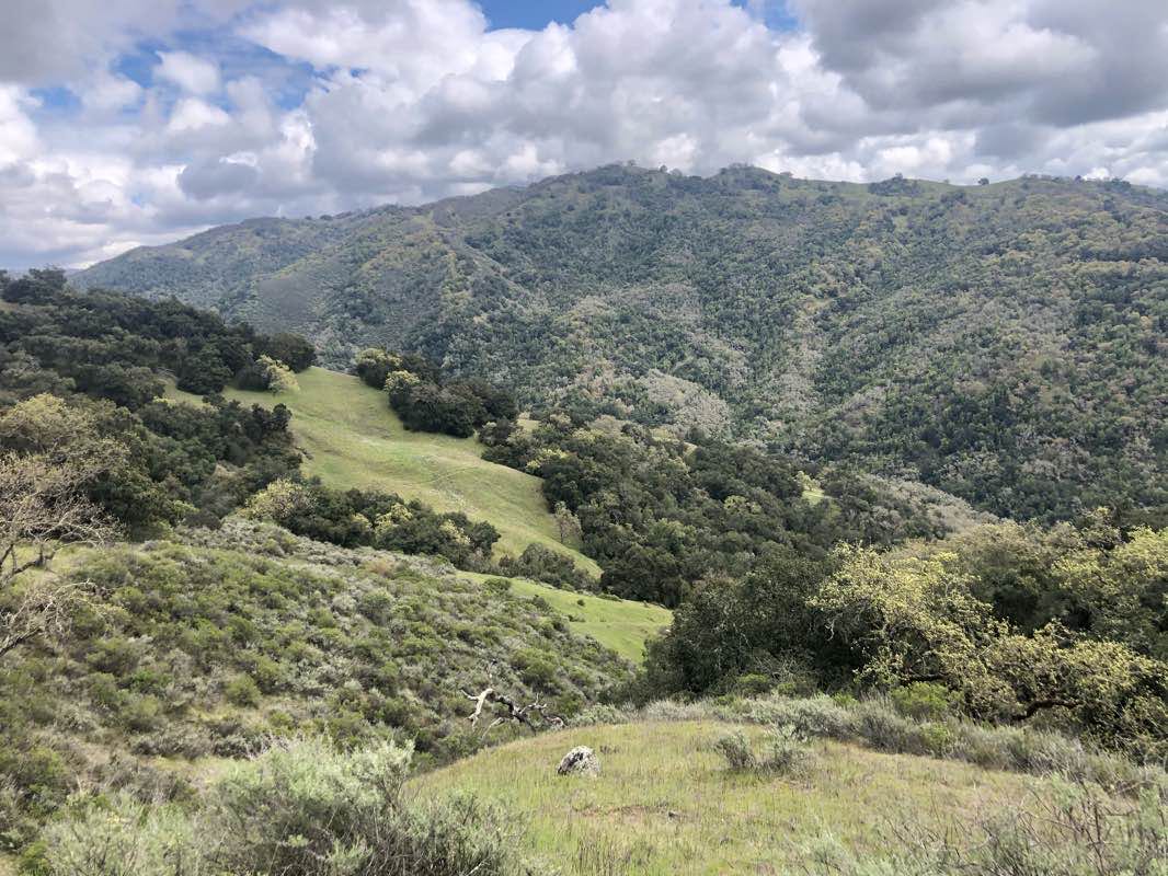 walking near me in Henry Coe State Park in winter