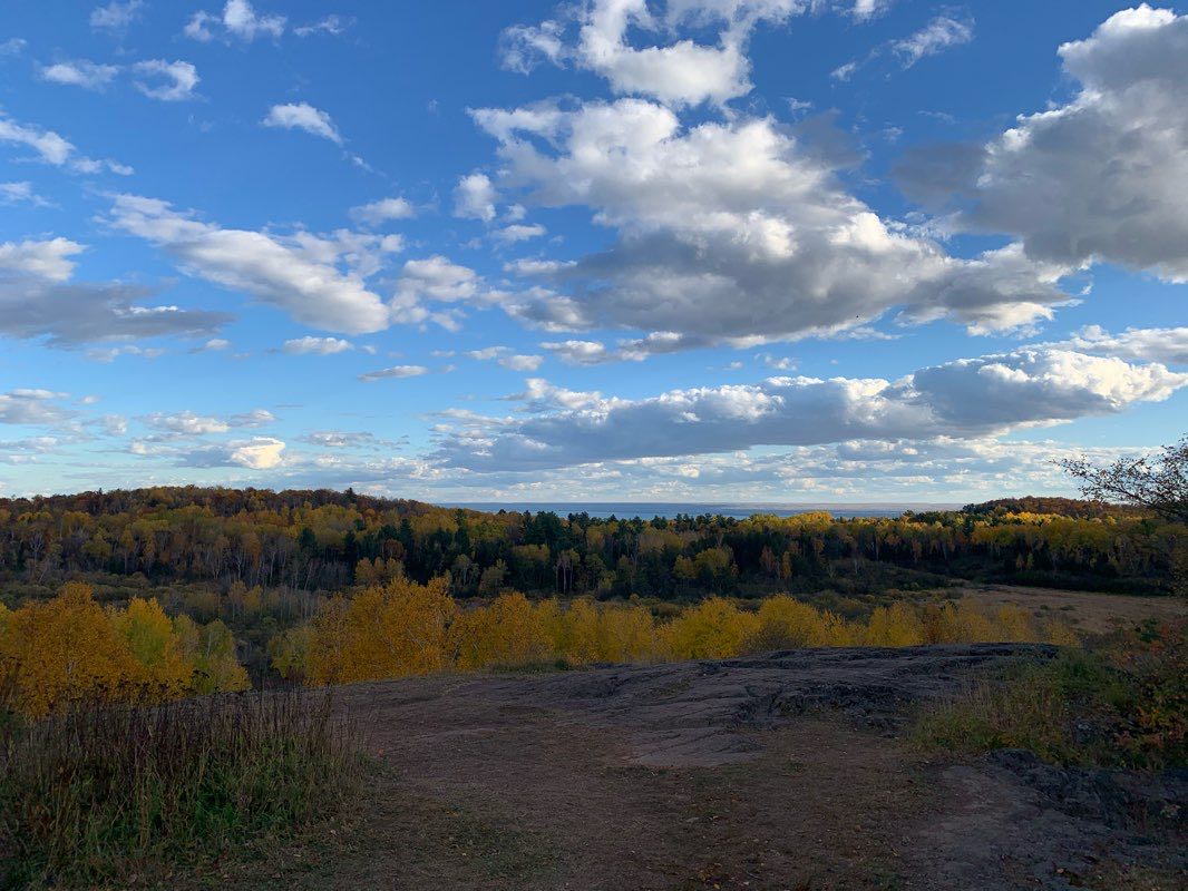 walking near me in Hartley Park in winter