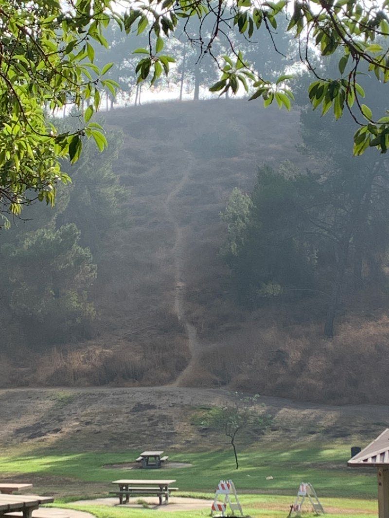 walking near me in Parque Xalapa in winter