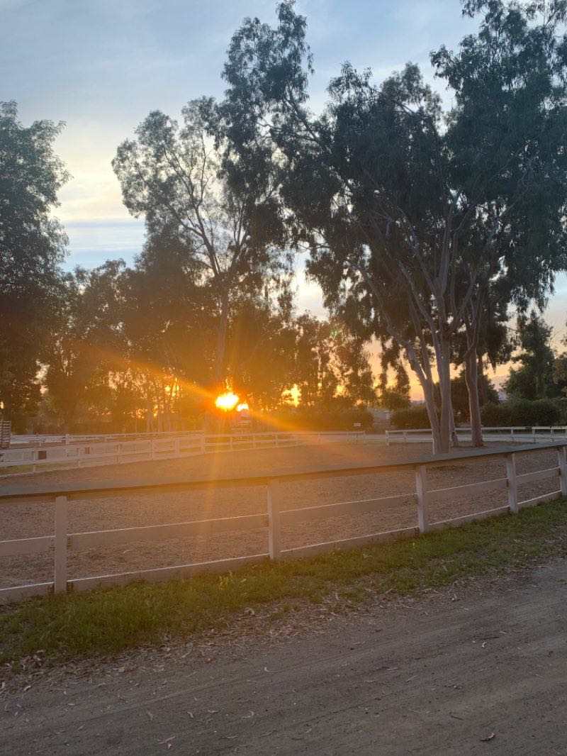 walking near me in Maverick-Ridge Riders Park in winter