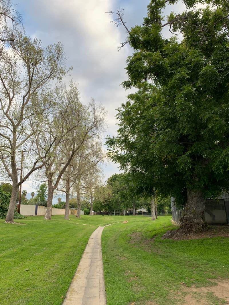 walking near me in Cortez Park in winter