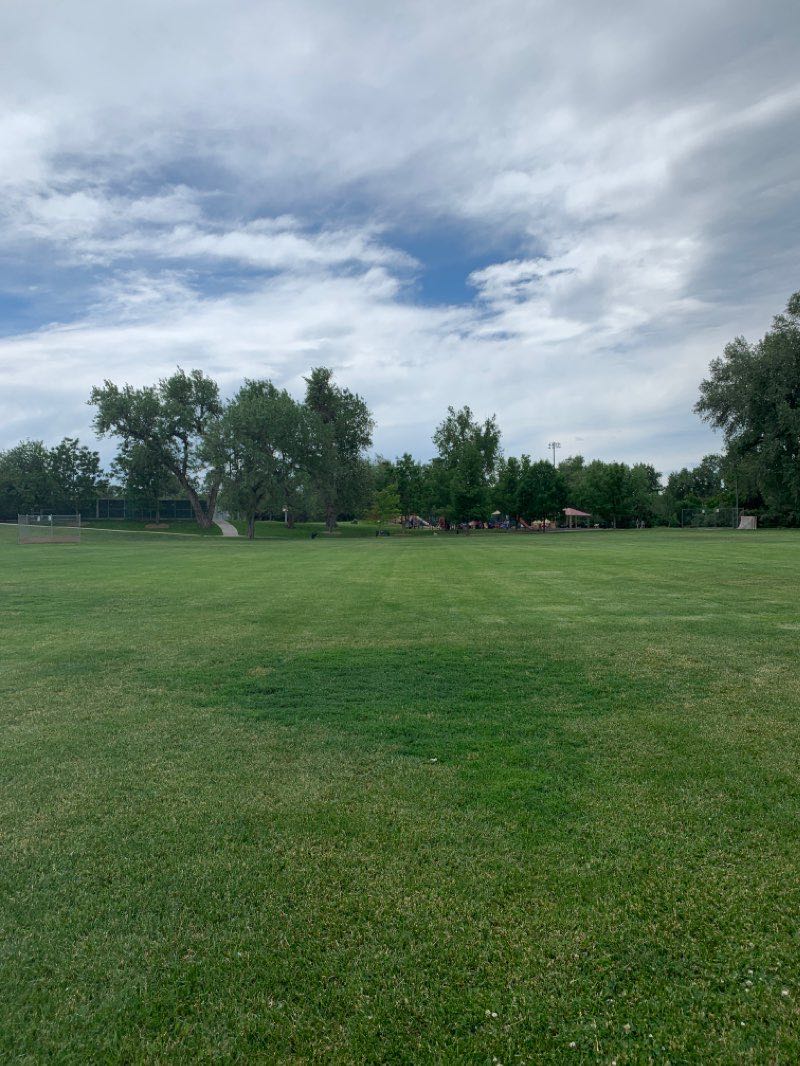 walking near me in deKoevend Park in winter