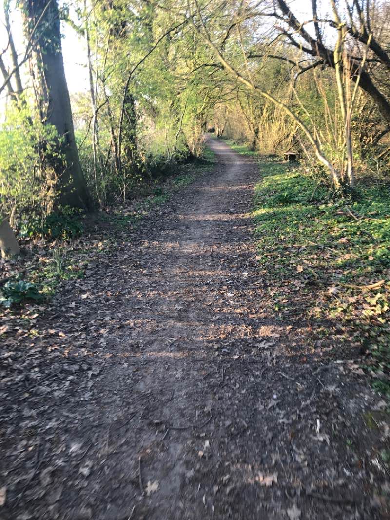 walking near me in Forstgarten in winter