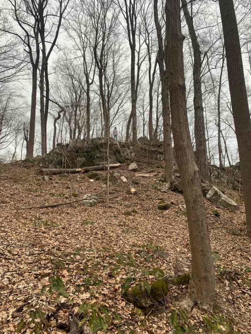 walking near me in Jenny Jump State Forest in winter