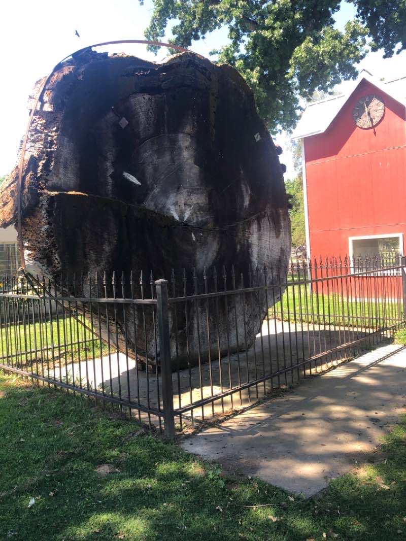 walking near me in Mooney Grove Park in winter