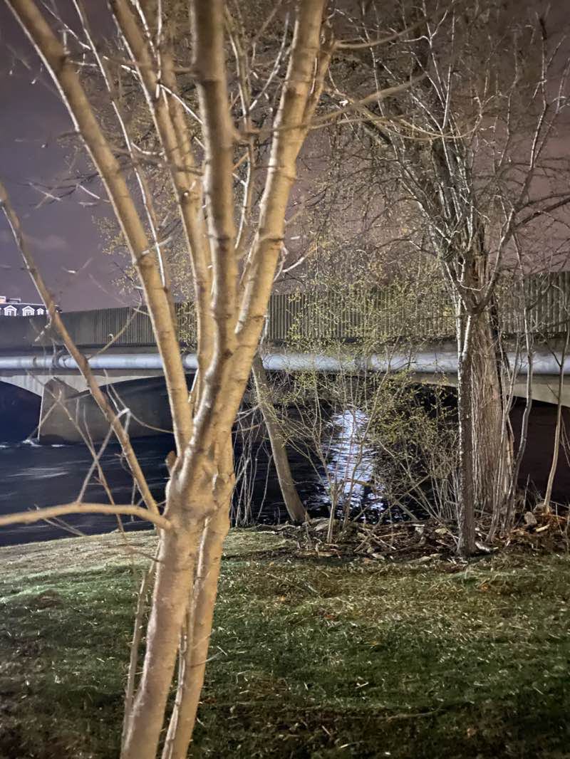 walking near me in Waltham Common in winter