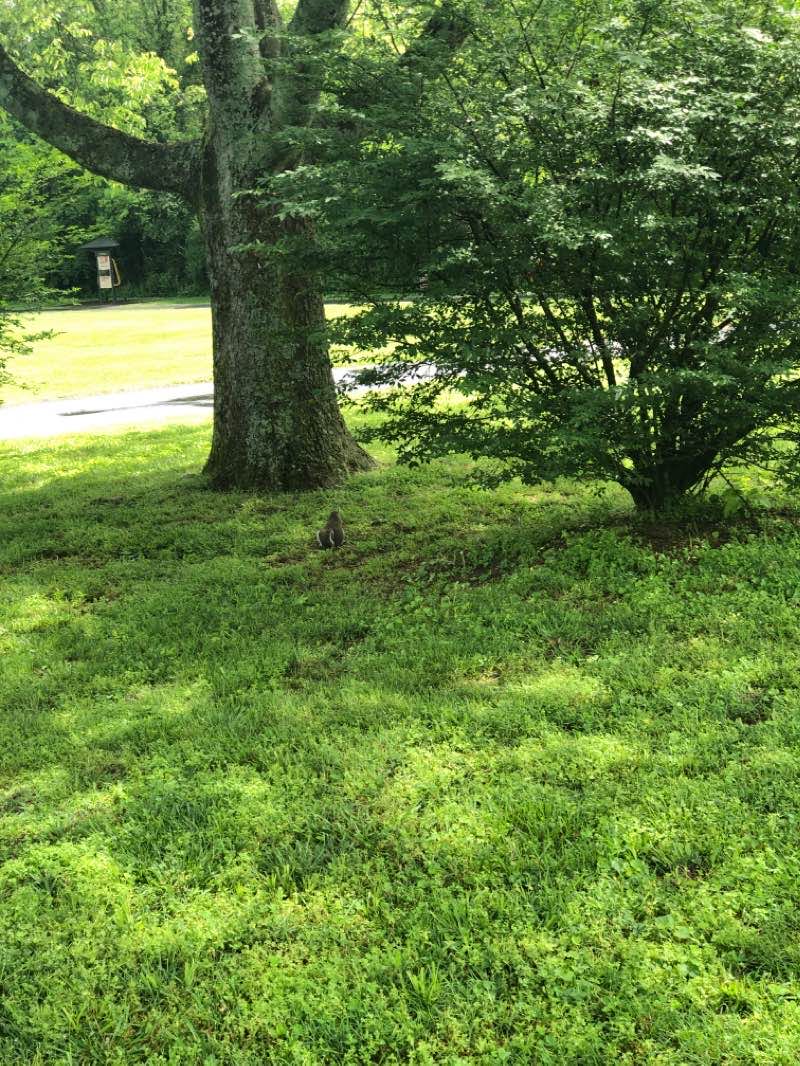 walking near me in Fort Granger in winter