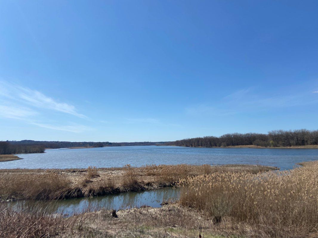 walking near me in Niskayuna Lions Park in winter