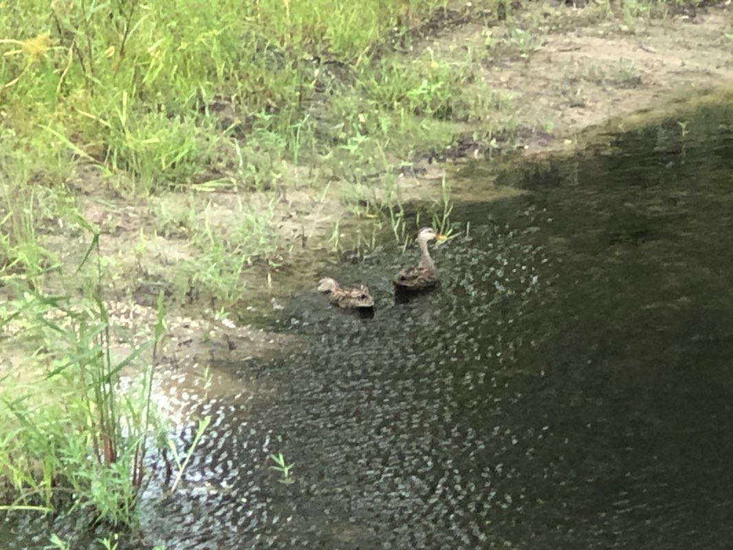 walking near me in James L. Patton Park in winter