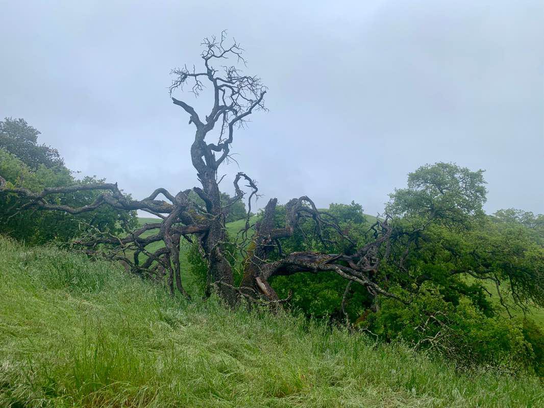 walking near me in John Muir National Historic Site in winter