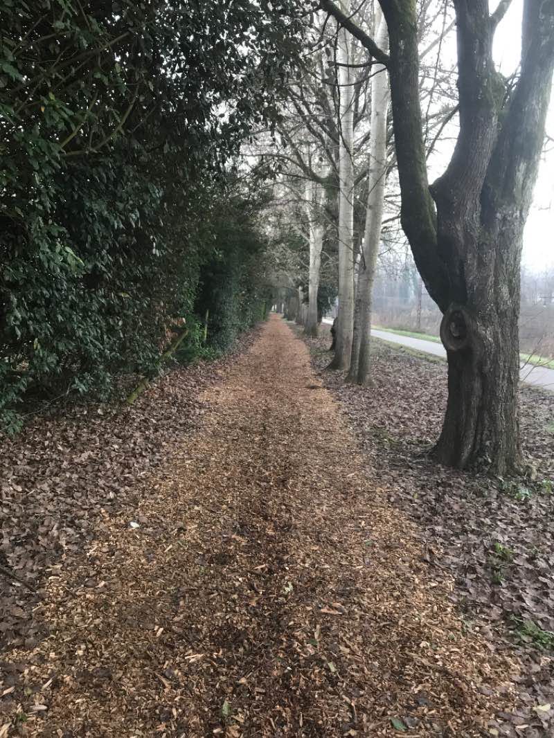 walking near me in Mercure - Domaine de Marlioz in winter