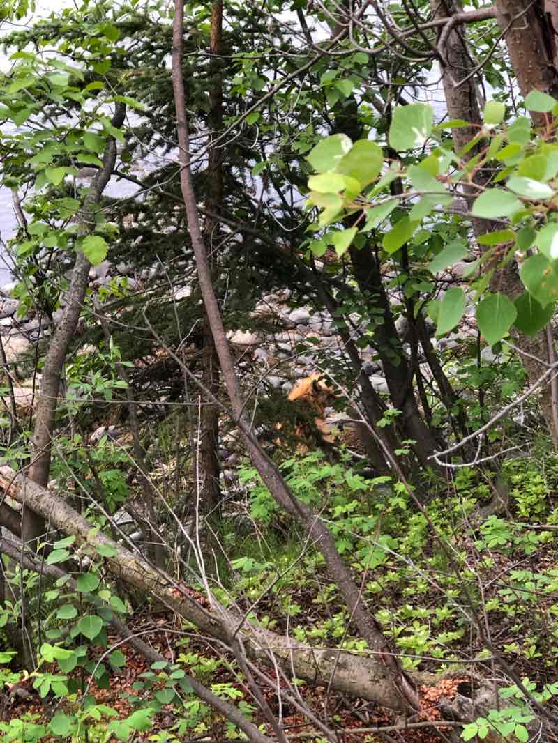 walking near me in Shipyards Park in winter