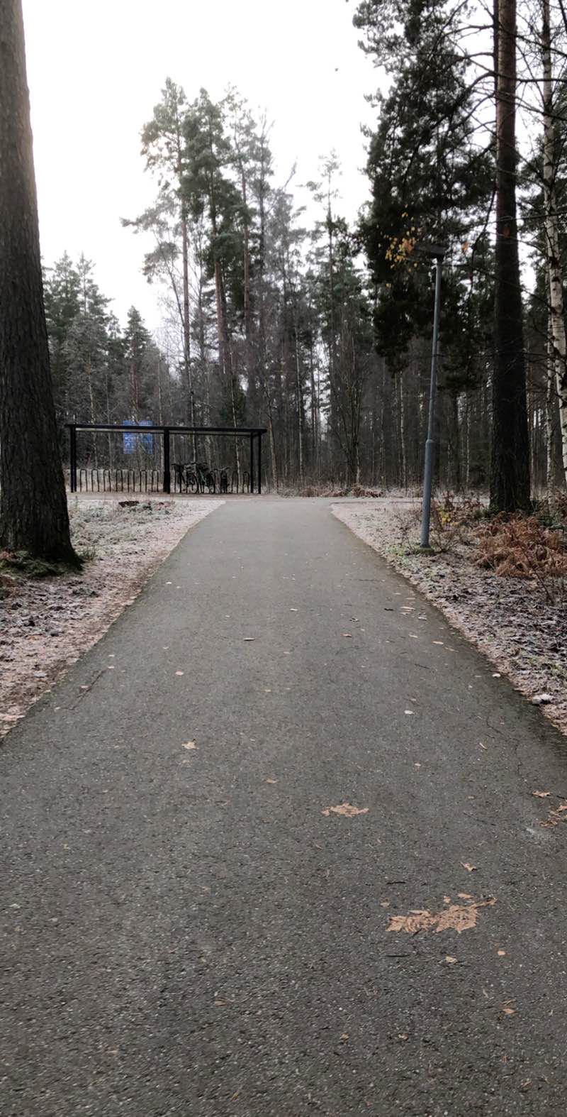 walking near me in Väster Park in winter