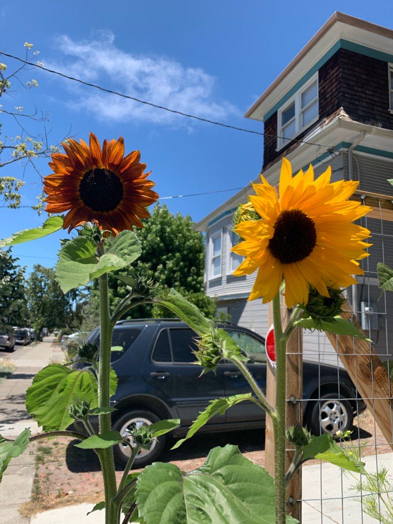 walking near me in Chochenyo Park in winter