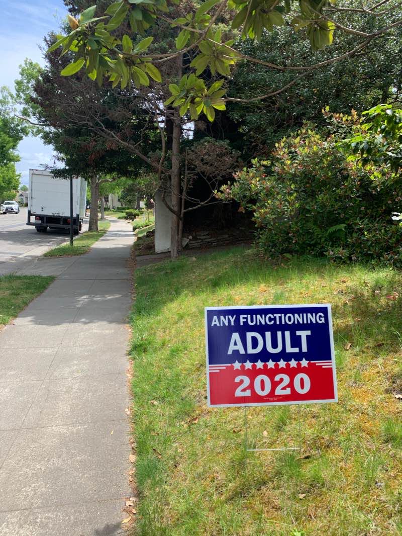 walking near me in Lincoln Park in winter
