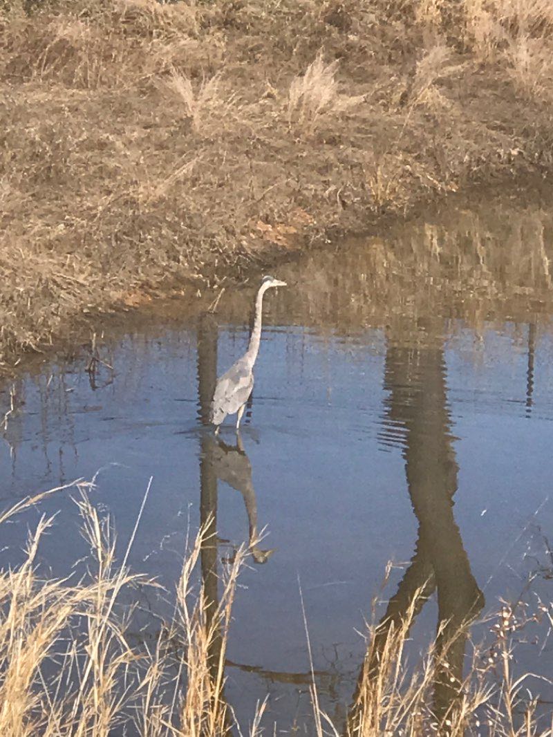 walking near me in Urbana District Park in winter