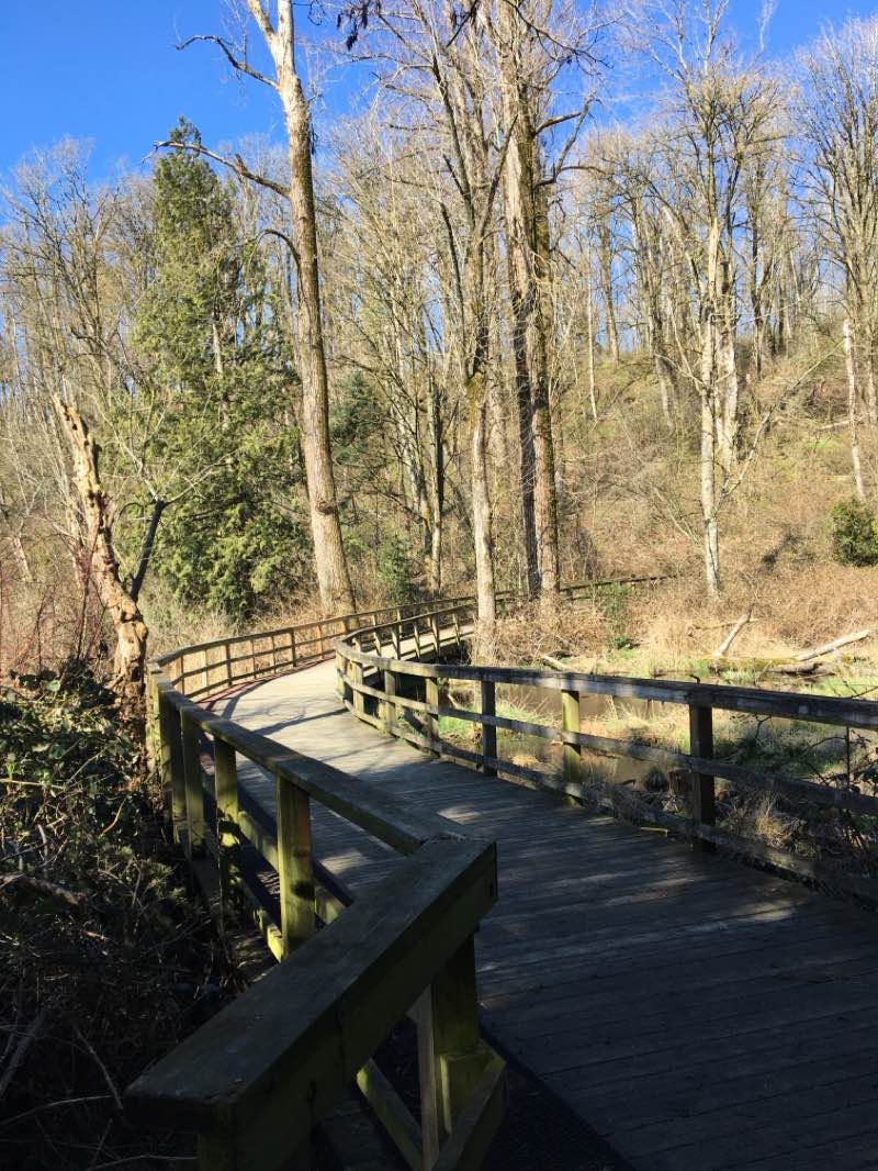 walking near me in Abbotsford Exhibition Park in winter