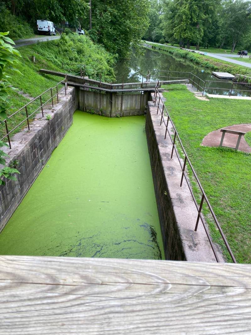 walking near me in Spring Mill Park in winter