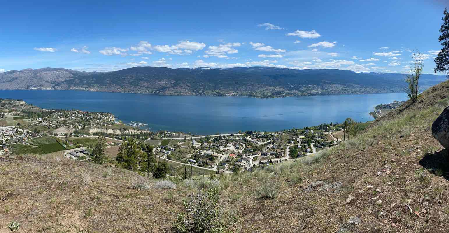 walking near me in Memorial Park in winter