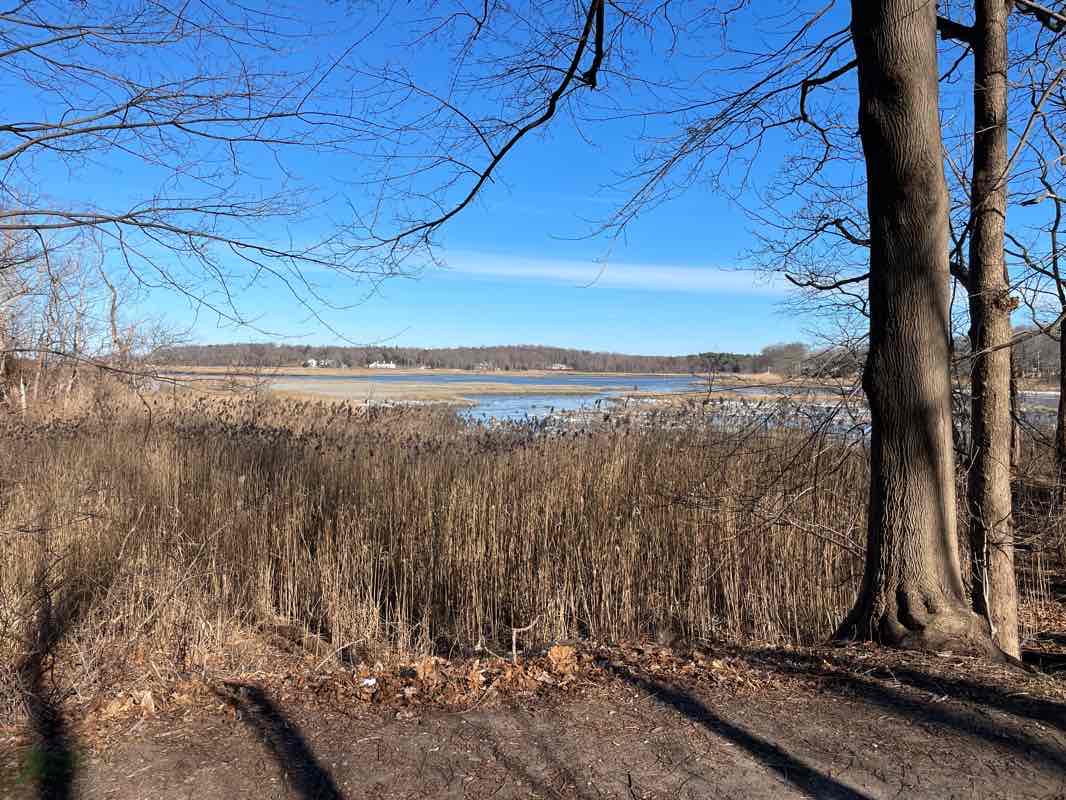 walking near me in Nissequogue River State Park in winter