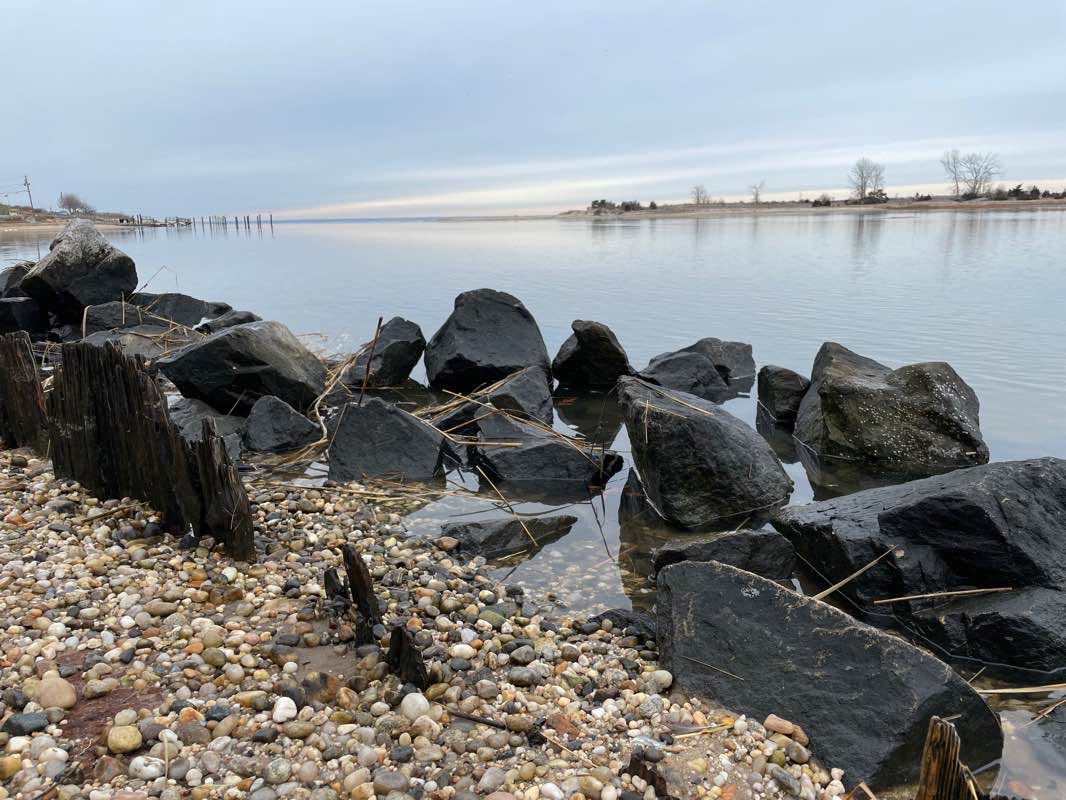 walking near me in Harrison Pond Park in winter