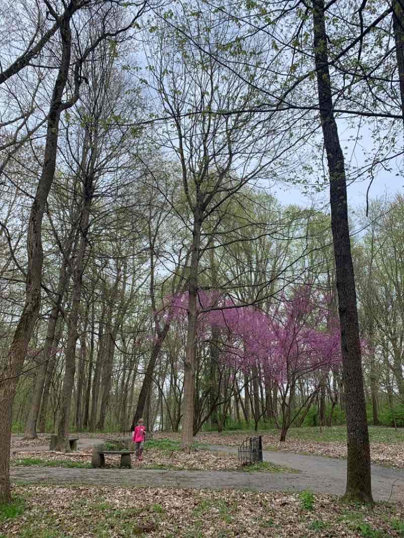 walking near me in Hawthorn Park in winter