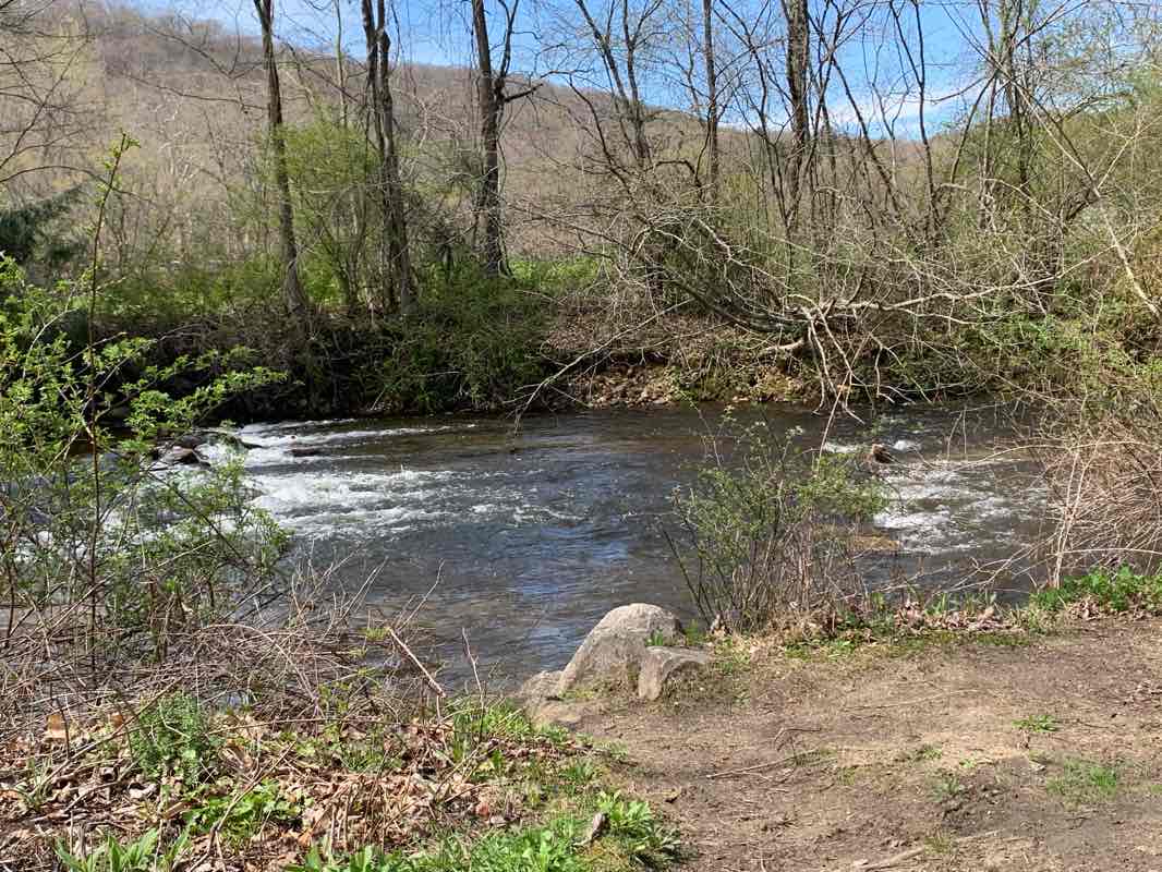 walking near me in Carlson's Grove Park in winter