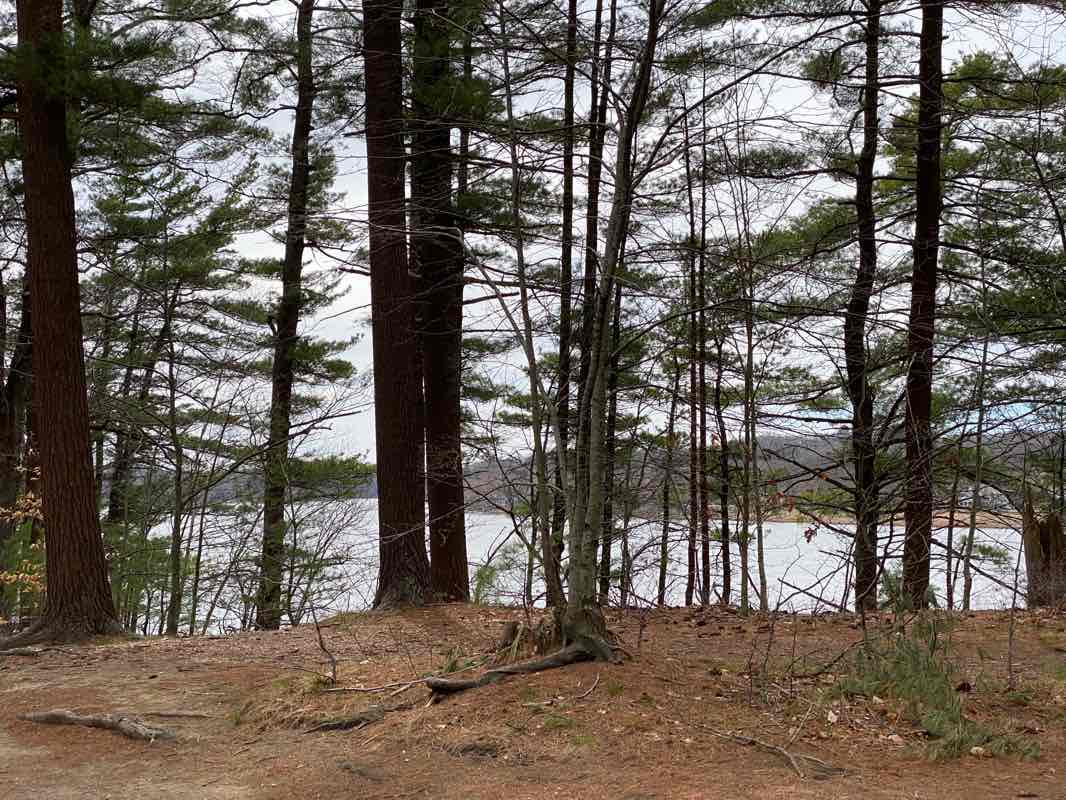 walking near me in Maudslay State Park in winter