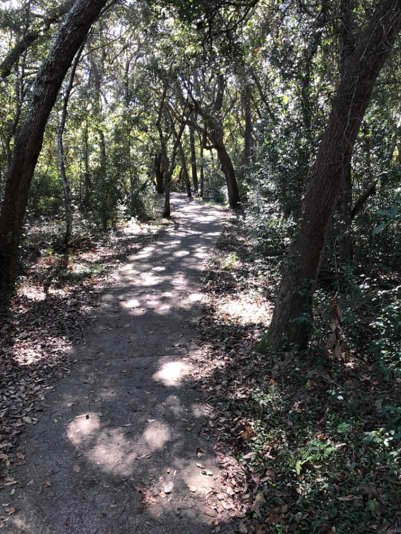 walking near me in Peter's Point Beachside Park in winter