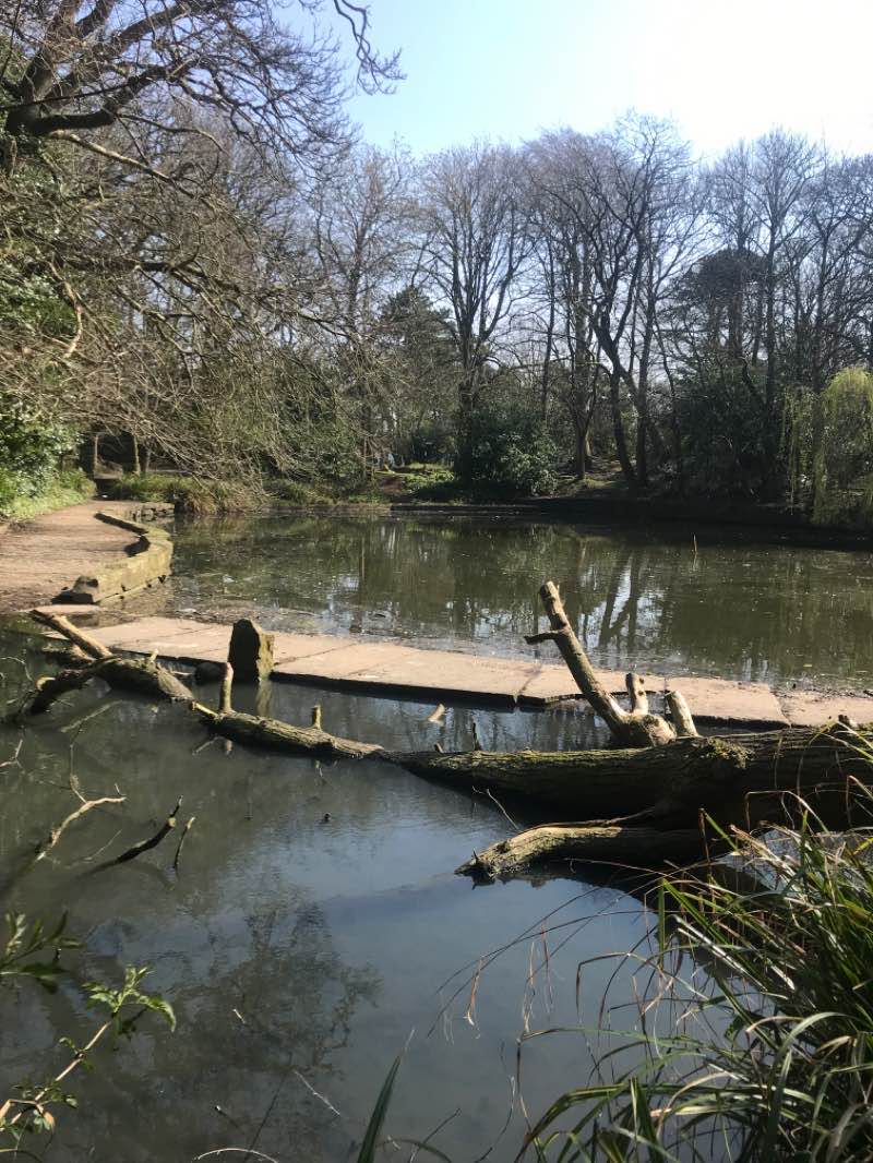 walking near me in Botanic Gardens in winter