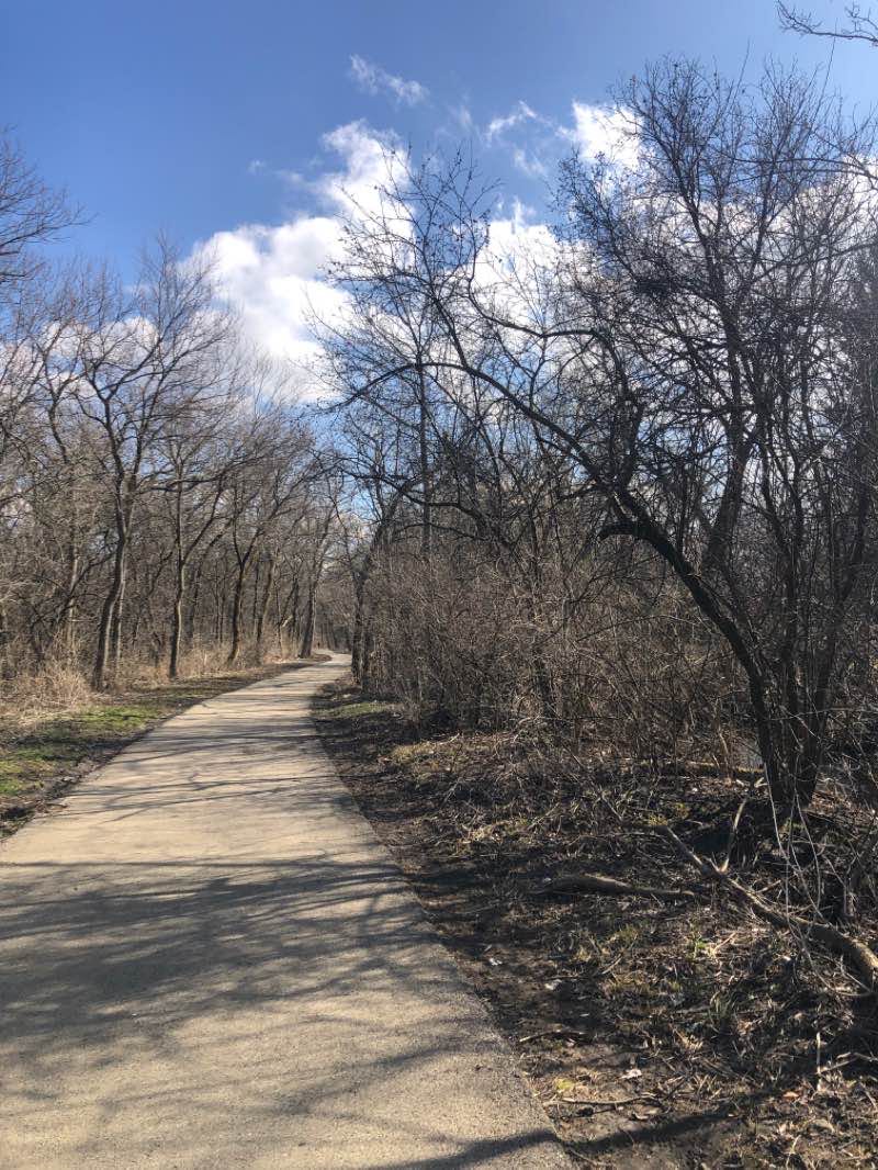 walking near me in Cottonwood Park in winter