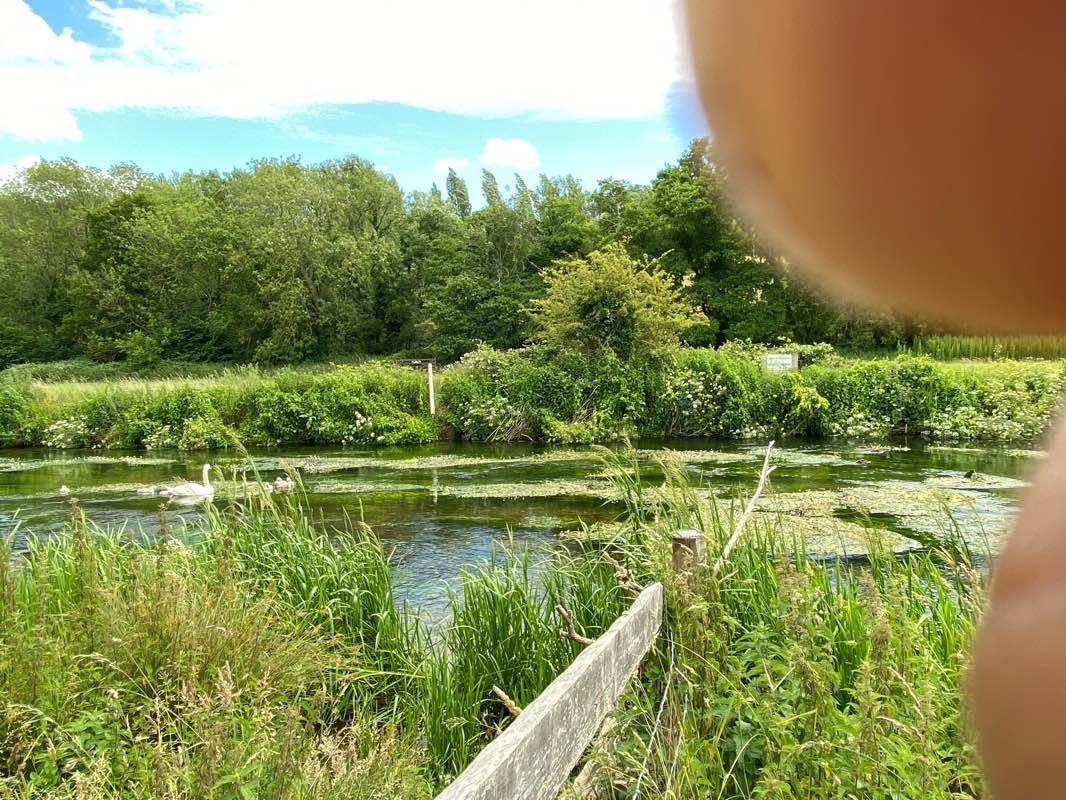 walking near me in Neal's Place Meadow in winter